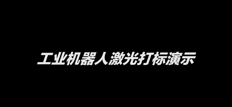 码清工业机器人激光打标演示缩略图